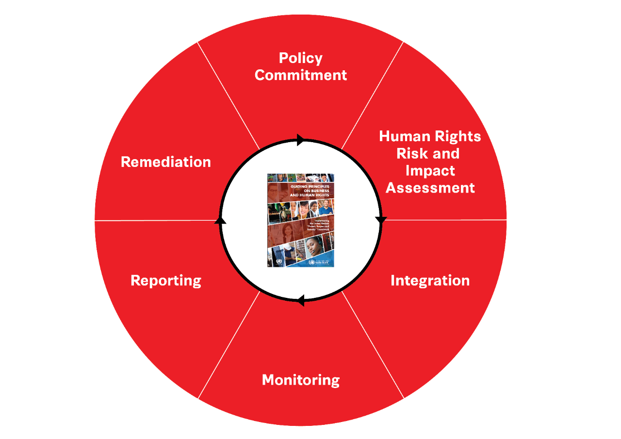HRDD-Process_ENG.png